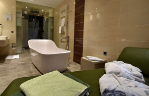 Hotel Wellness Suite mit Badewanne in Wien