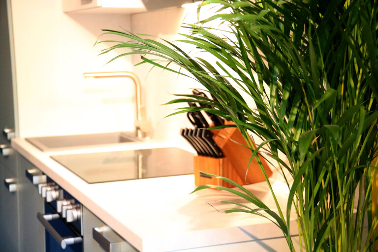 appartement mit innenhof 1020 wien